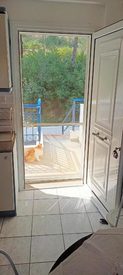 Siviri Sea & Forest-Cozy Apartment With Garden & Nature Views エクステリア 写真